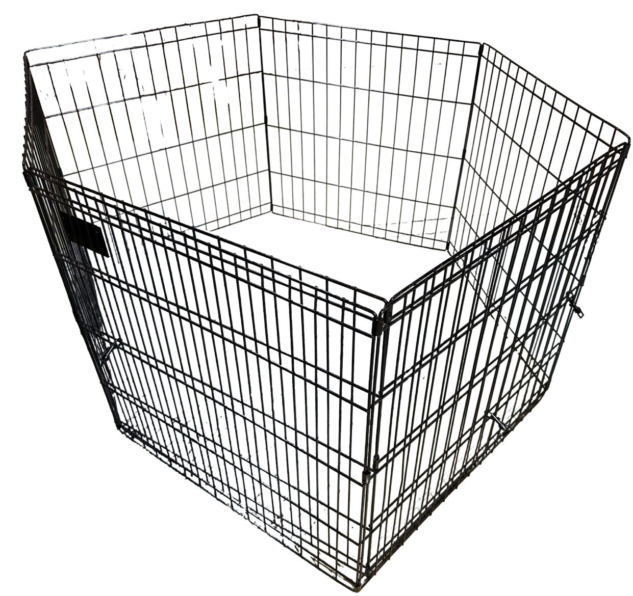 Black DogAnimal GateFence