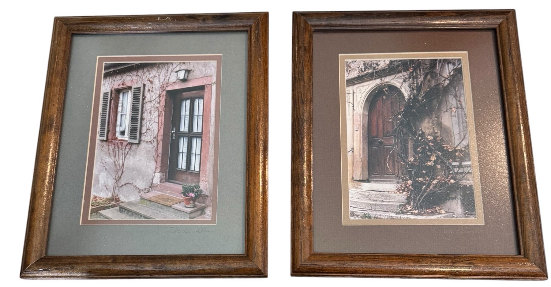 Architectural Door Framed Prints