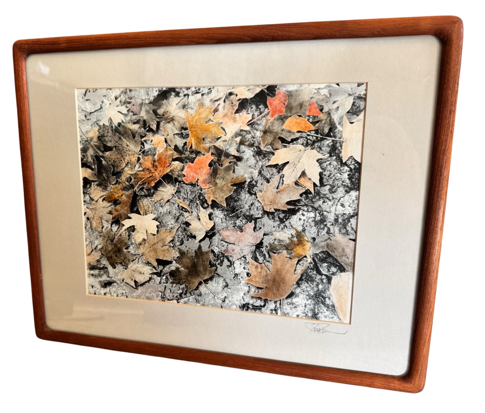 Signed Leaf Framed Photograph