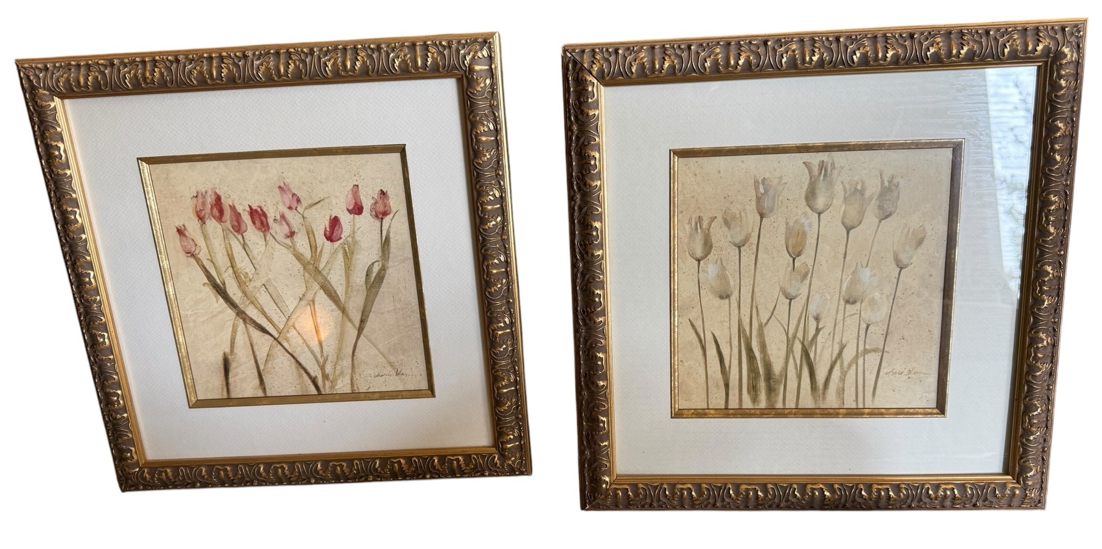Pair of Framed Tulip Flower Prints