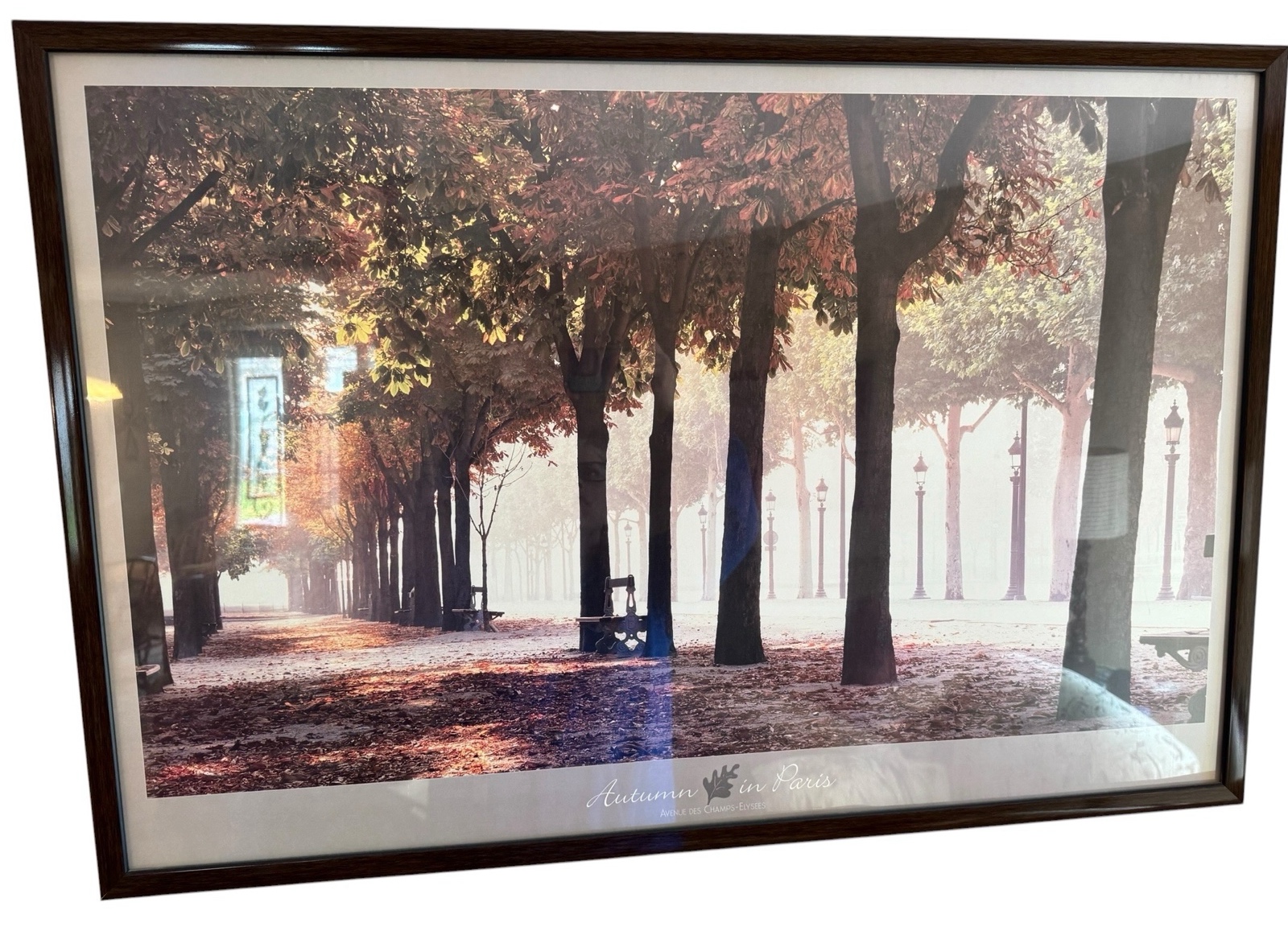 Autumn in Paris Framed Print