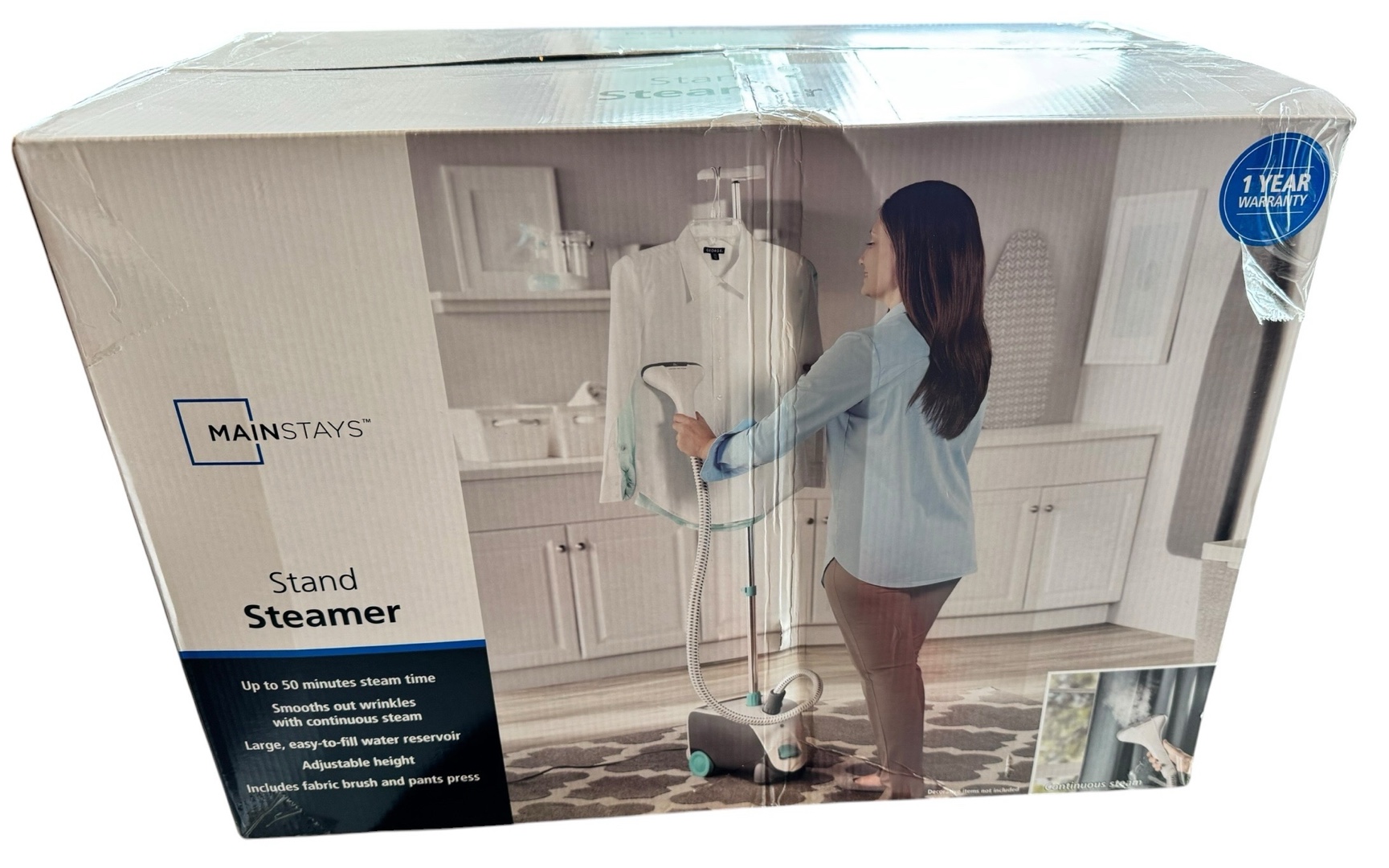 Stand Steamer