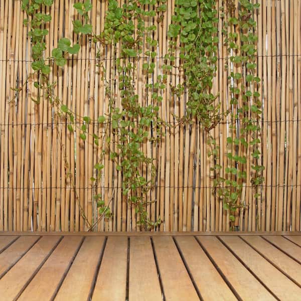(10) Backyard X-Scapes 6 ft. H x 16 ft. L Natural Jumbo Reed Bamboo Fencing
