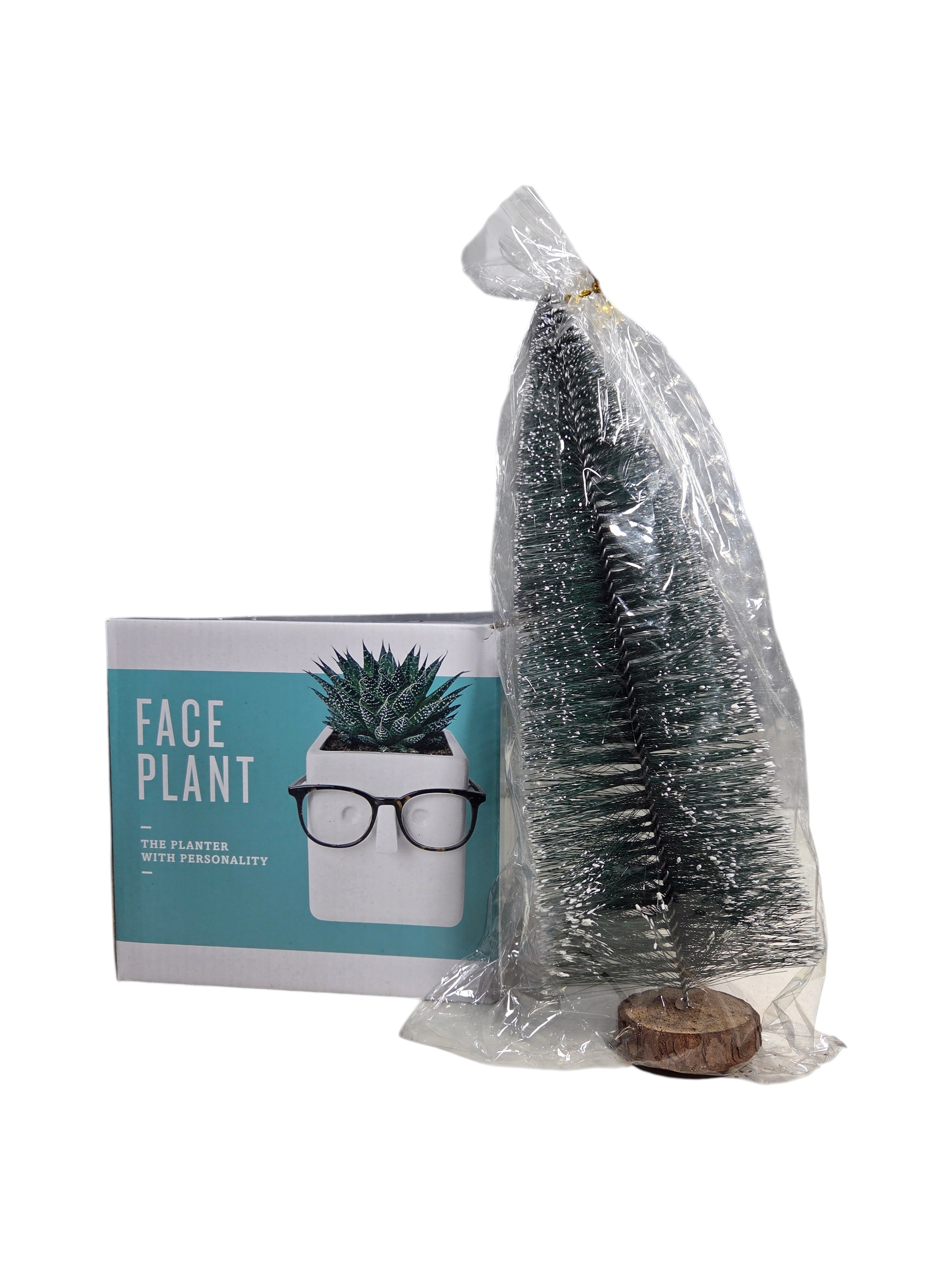 Face Plant Novelty Planter & Tree Decor Lot