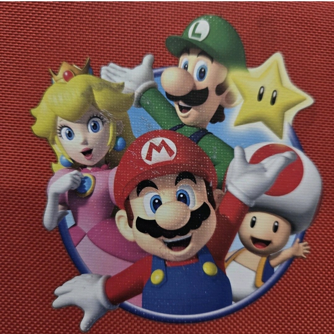Mario Bros Nintendo 3DS Case