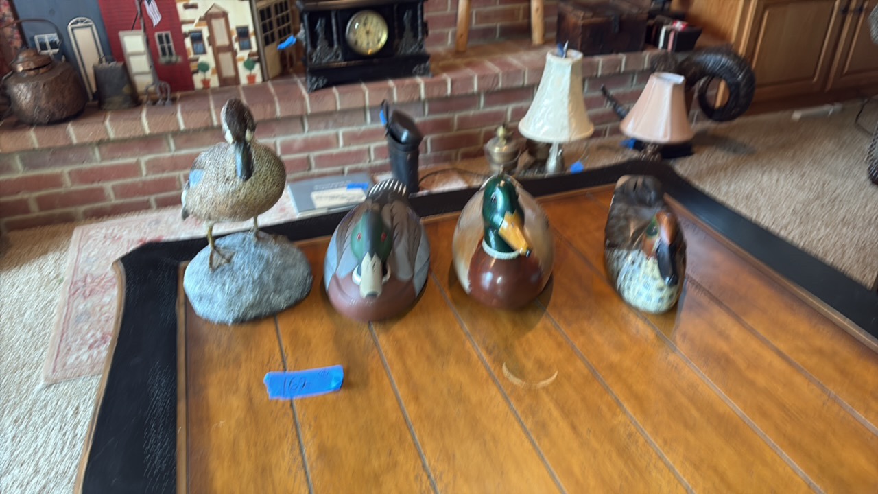 (4) ducks, 1 is taxidermy