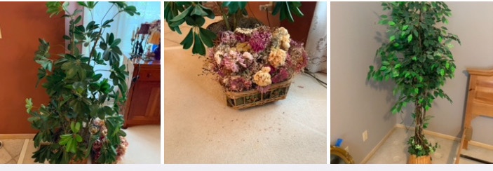 2 artifical treesplants nd one basket of dried flowers