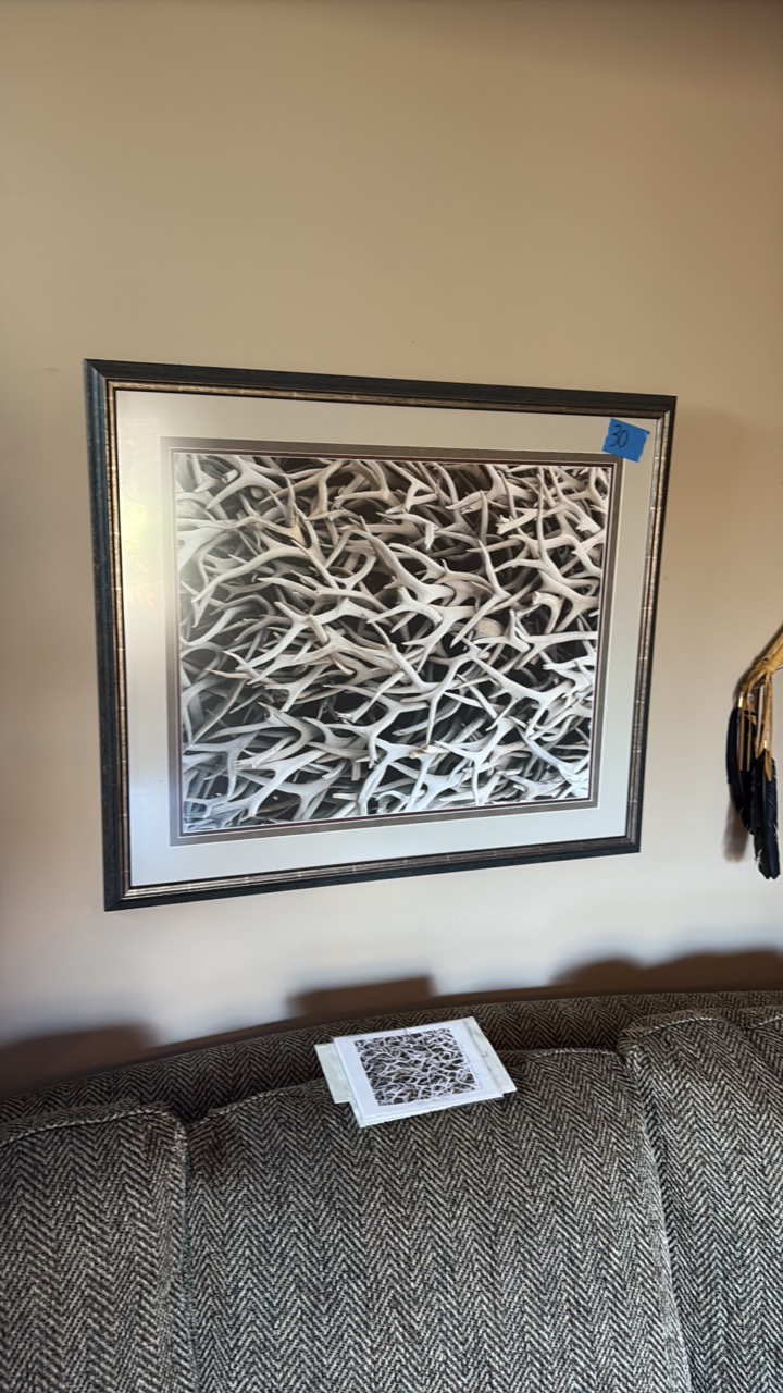 After the Fall Antlers print by Traci Suzanne Marvel