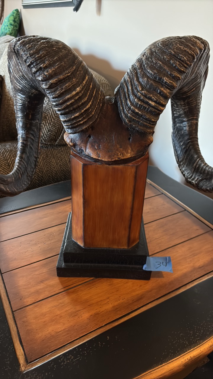 Decorative Ram Horn Sculpture