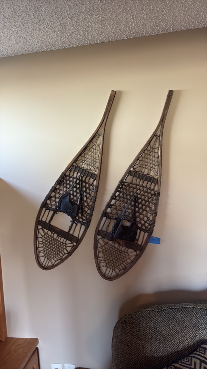 Snow shoes