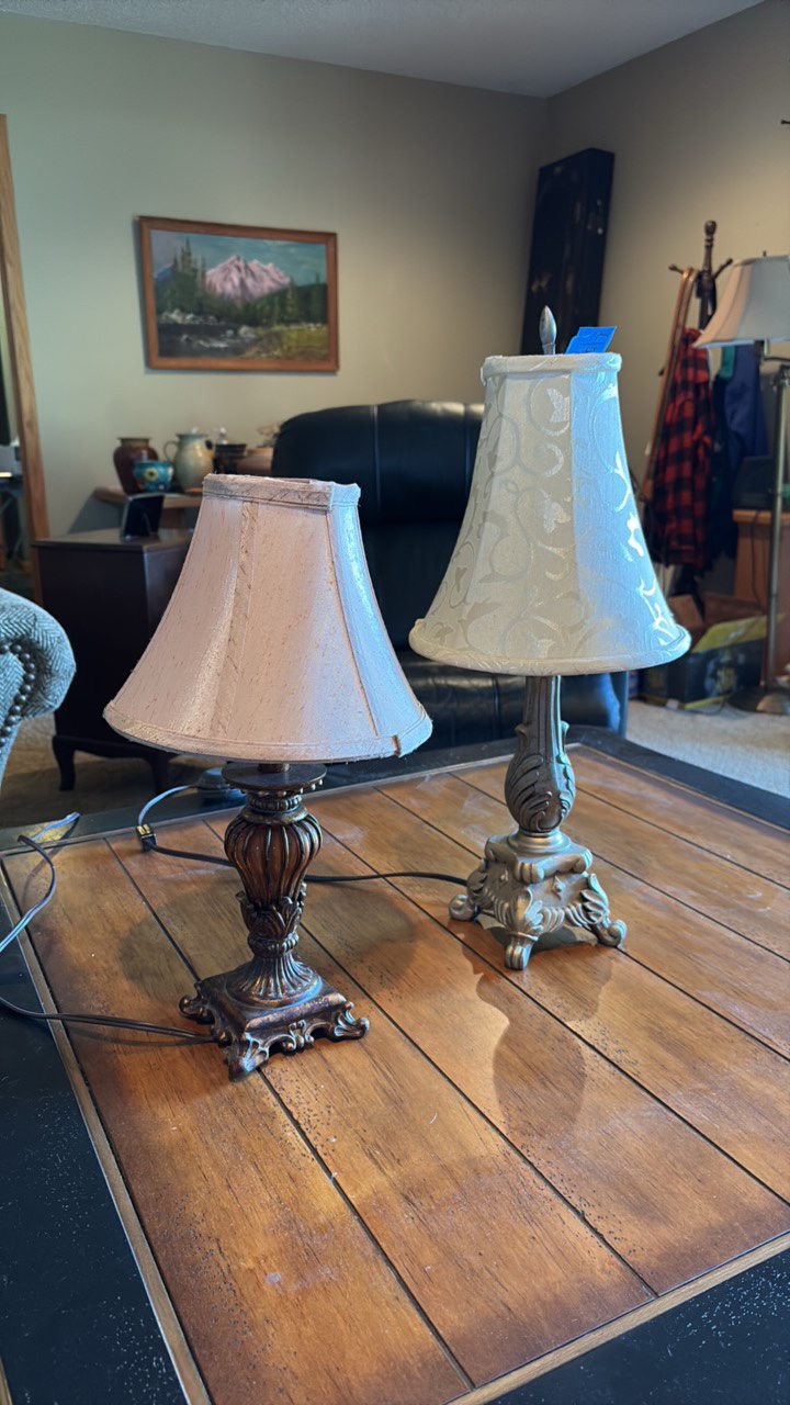 (2) Table lamps with shades