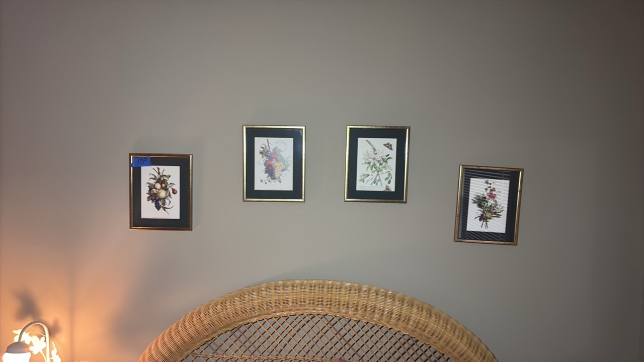 (4) botanical prints by Jean Louis Prevost, 11x9
