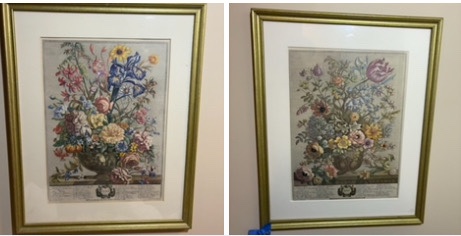 (2) Britt Prints floral artwork 18 x 22