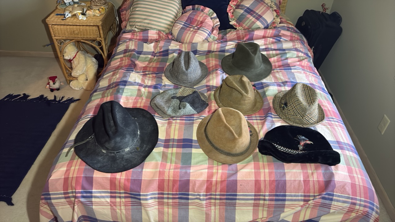 (8) Vintage hats