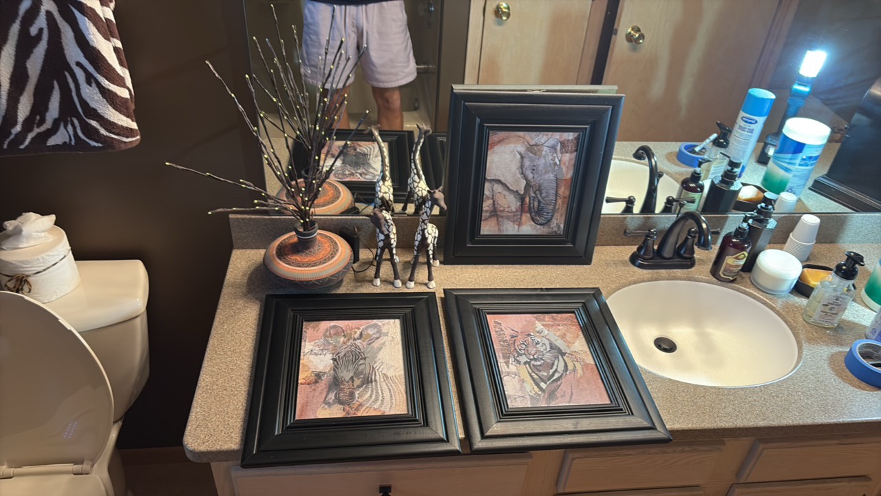 (3) pictures, potted light tree, and (2) giraffe