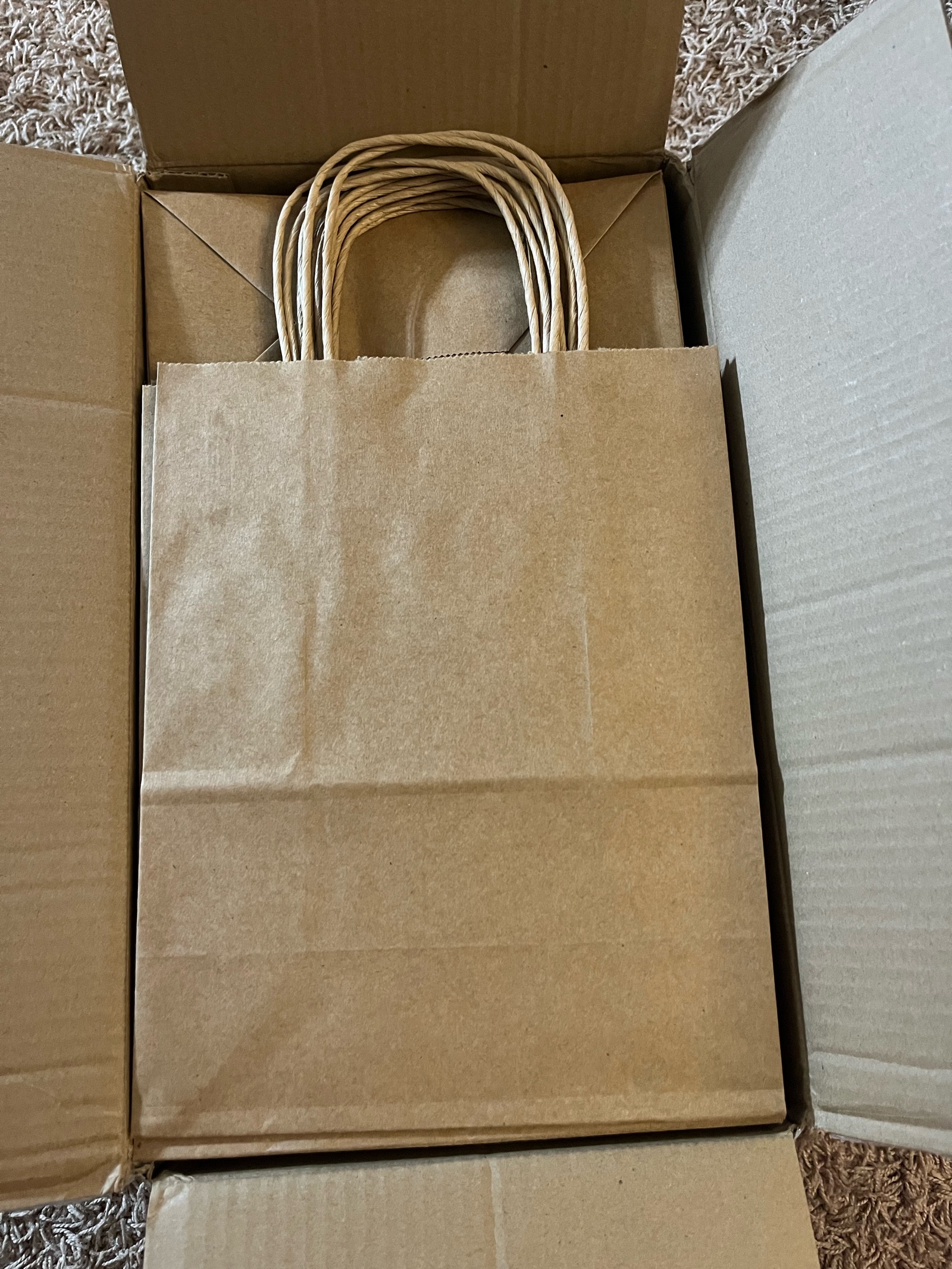 8x10 Brown Paper Gift Bag - 100 Count - with handle - Retail $60