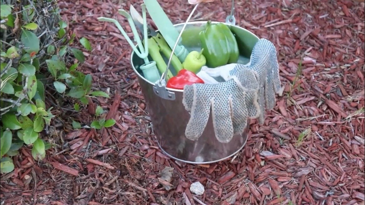 Pack of 2 Galvanized Pail 10L  Beer Bucket, Garden Planter, Snack Pail, 10x10x9.5  inches  Retail $25
