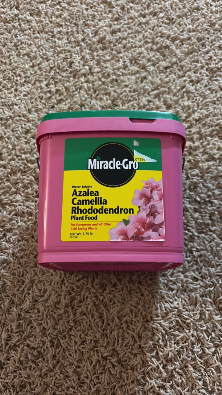 MiracleGro Azalea Camellia Rhododendron Plant Food For Evergreens and All Other Acid-Loving Plants 3.75 Pounds of Water Solube Plant Food