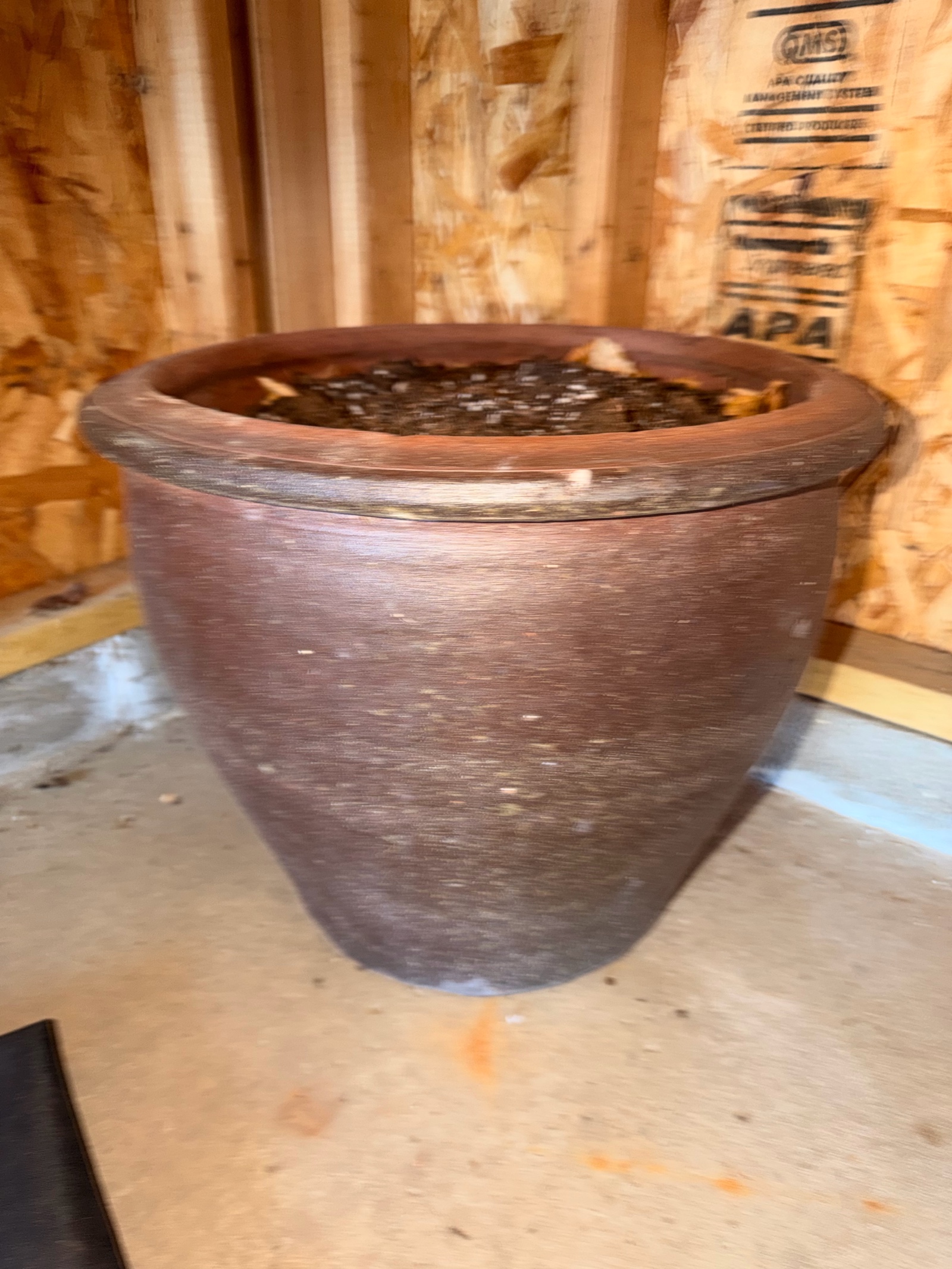 Large Pot for Plants (Dirt not included)