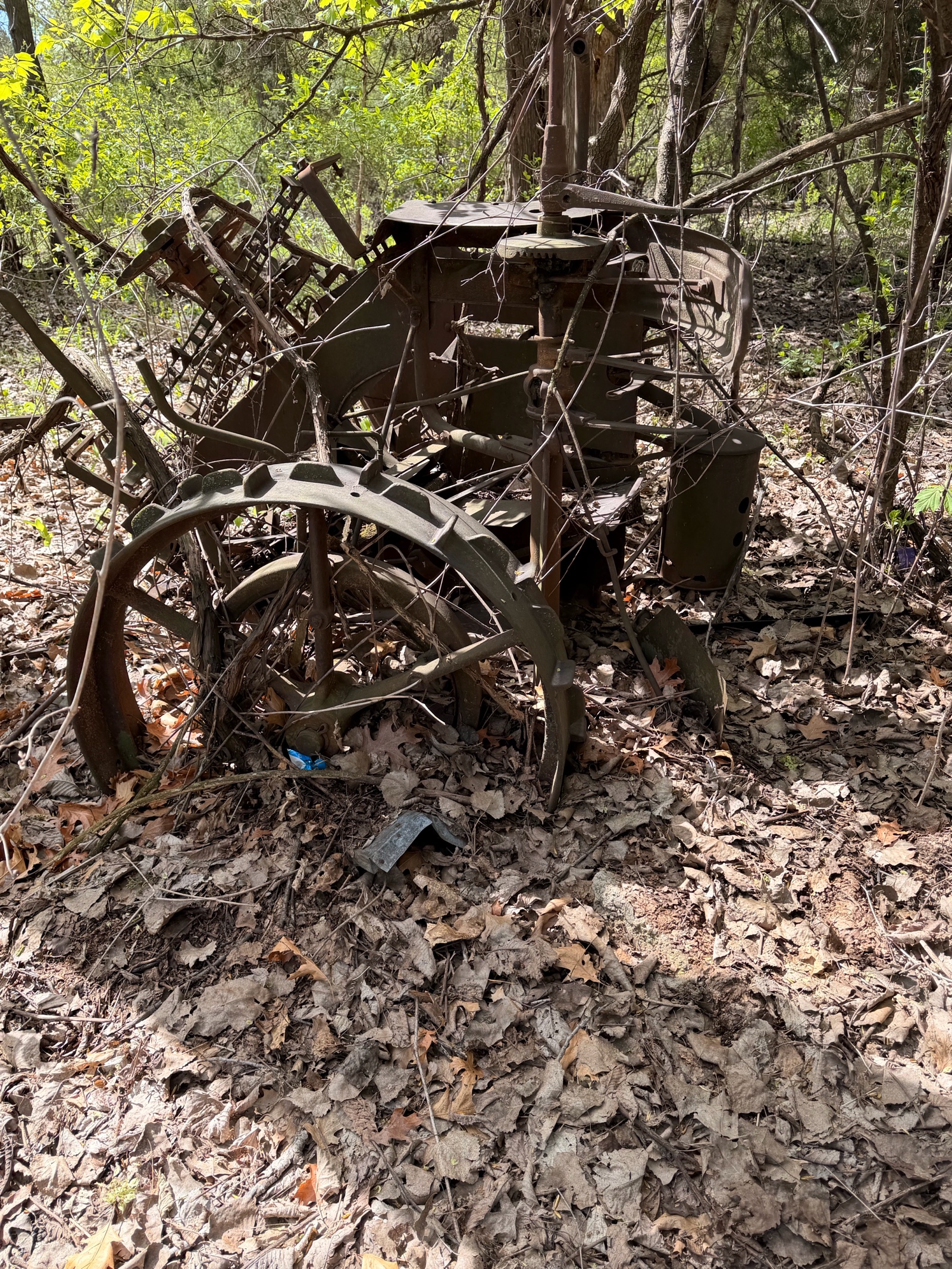 LARGE cast iron farming equipment.