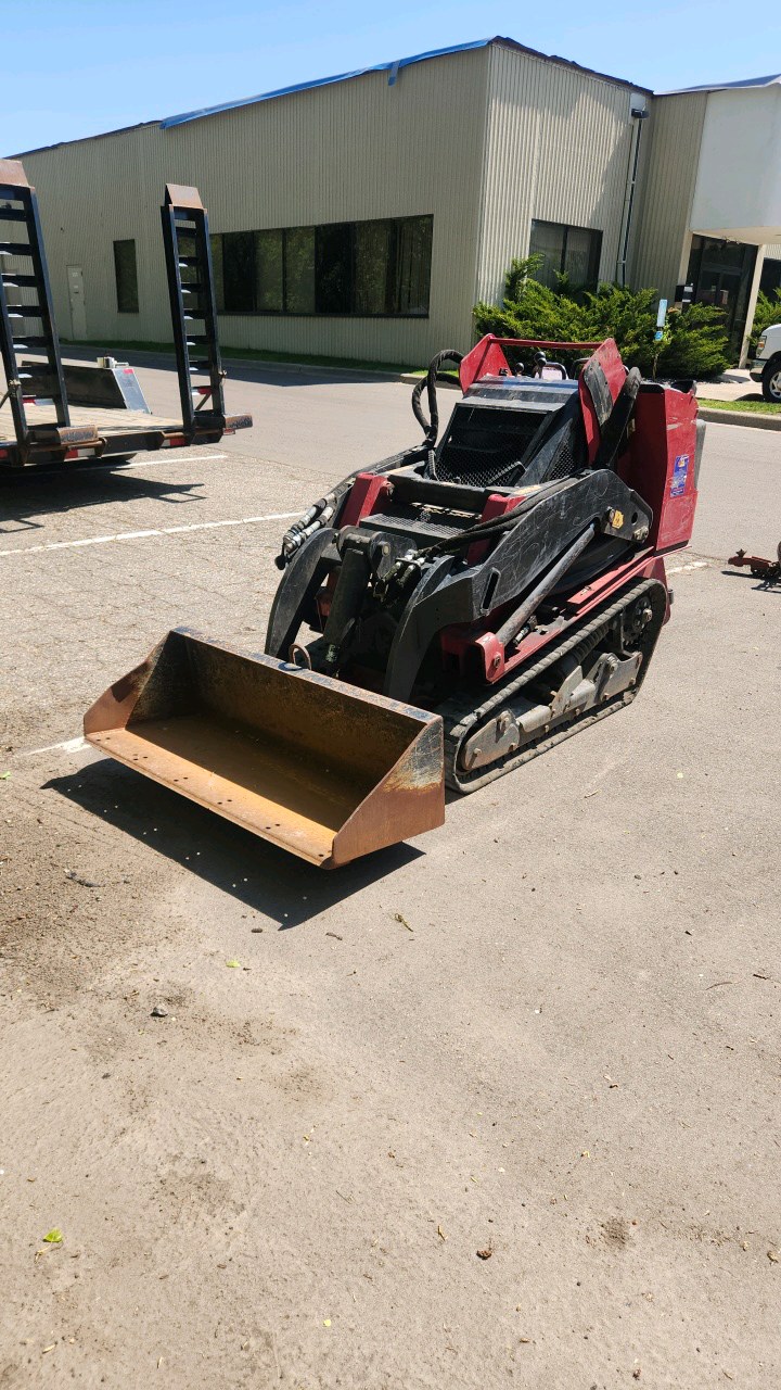 Toro� Dingo