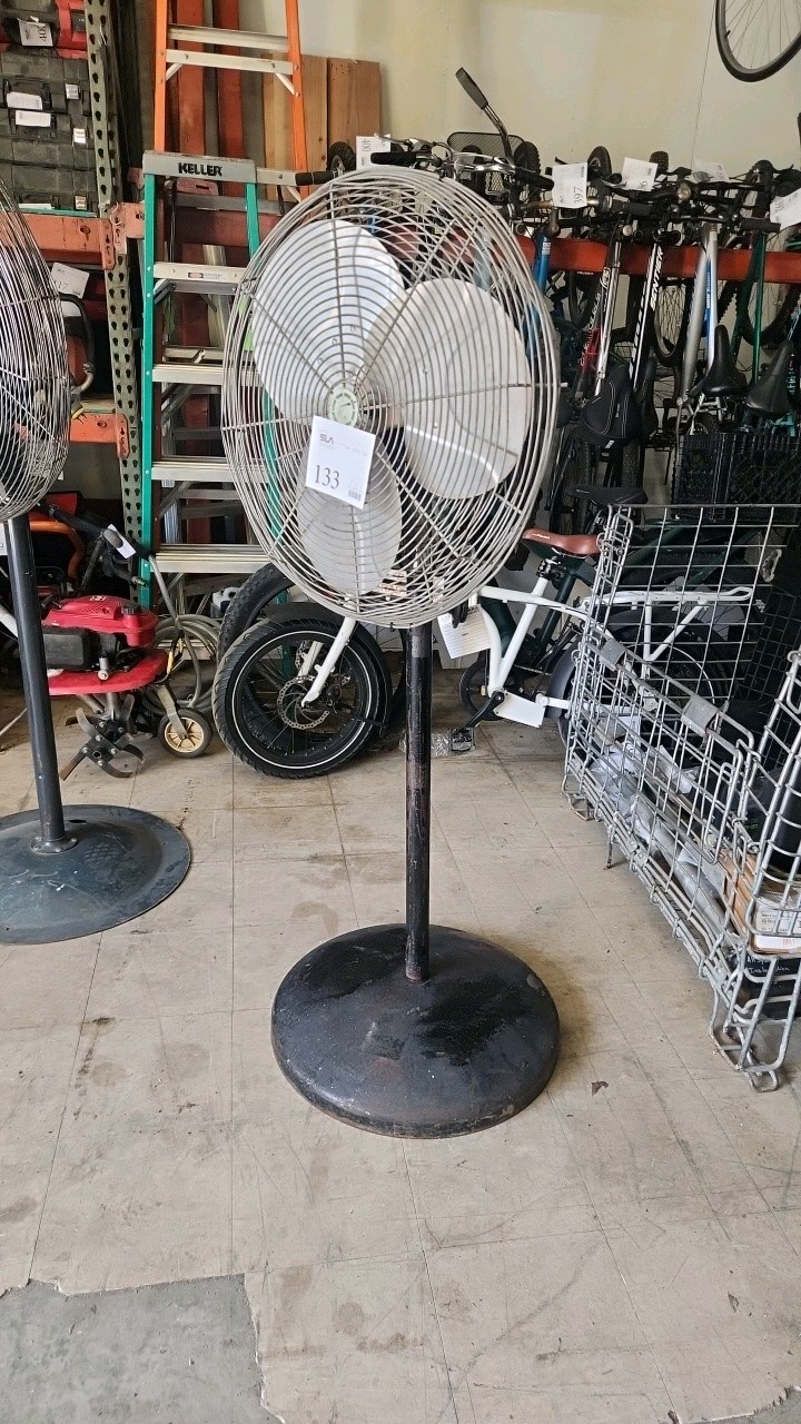 Pedestal Fan