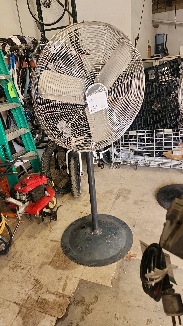 Pedestal Fan