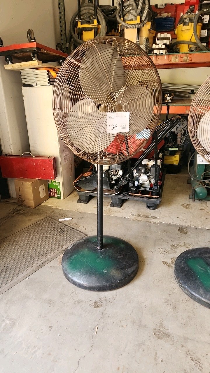 Pedestal Fan