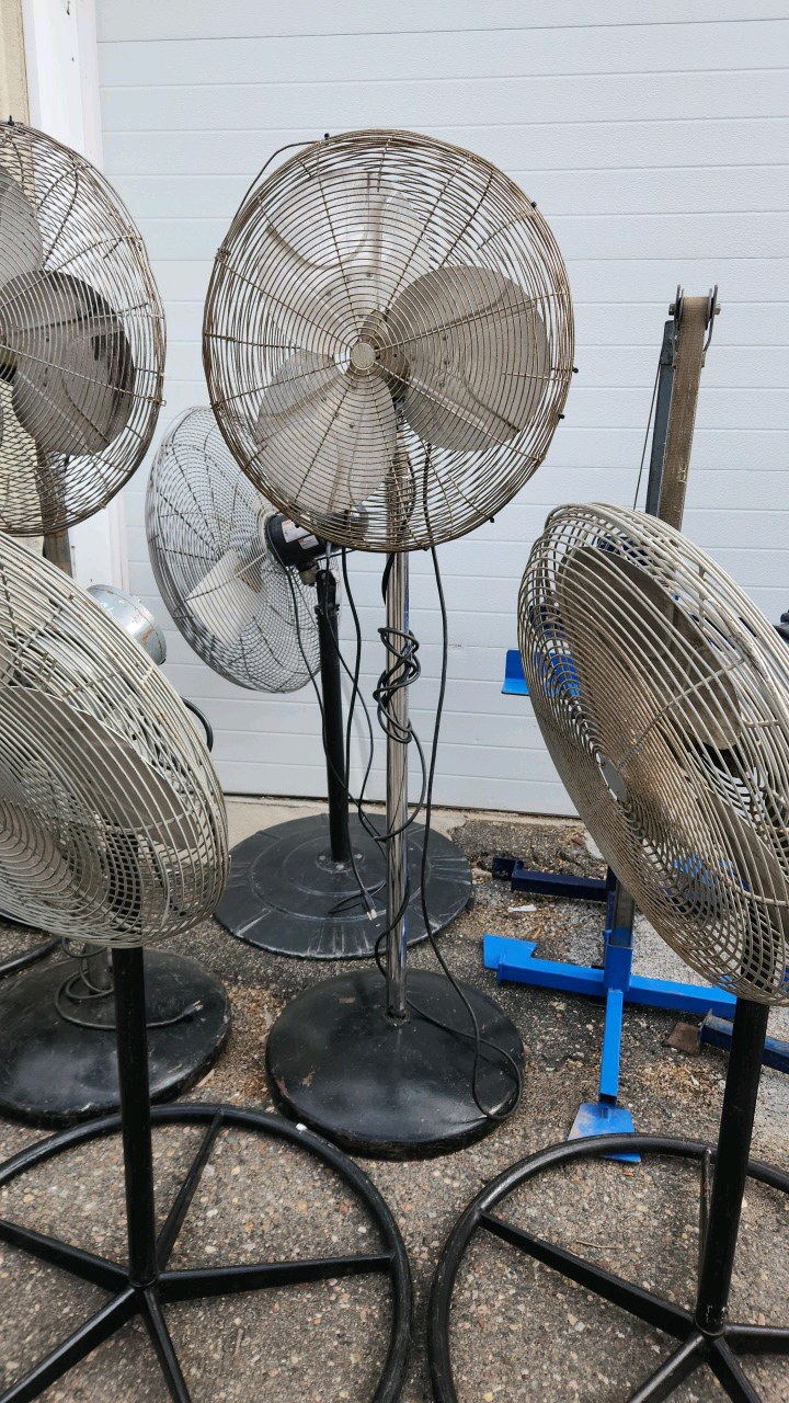 Pedestal Fan