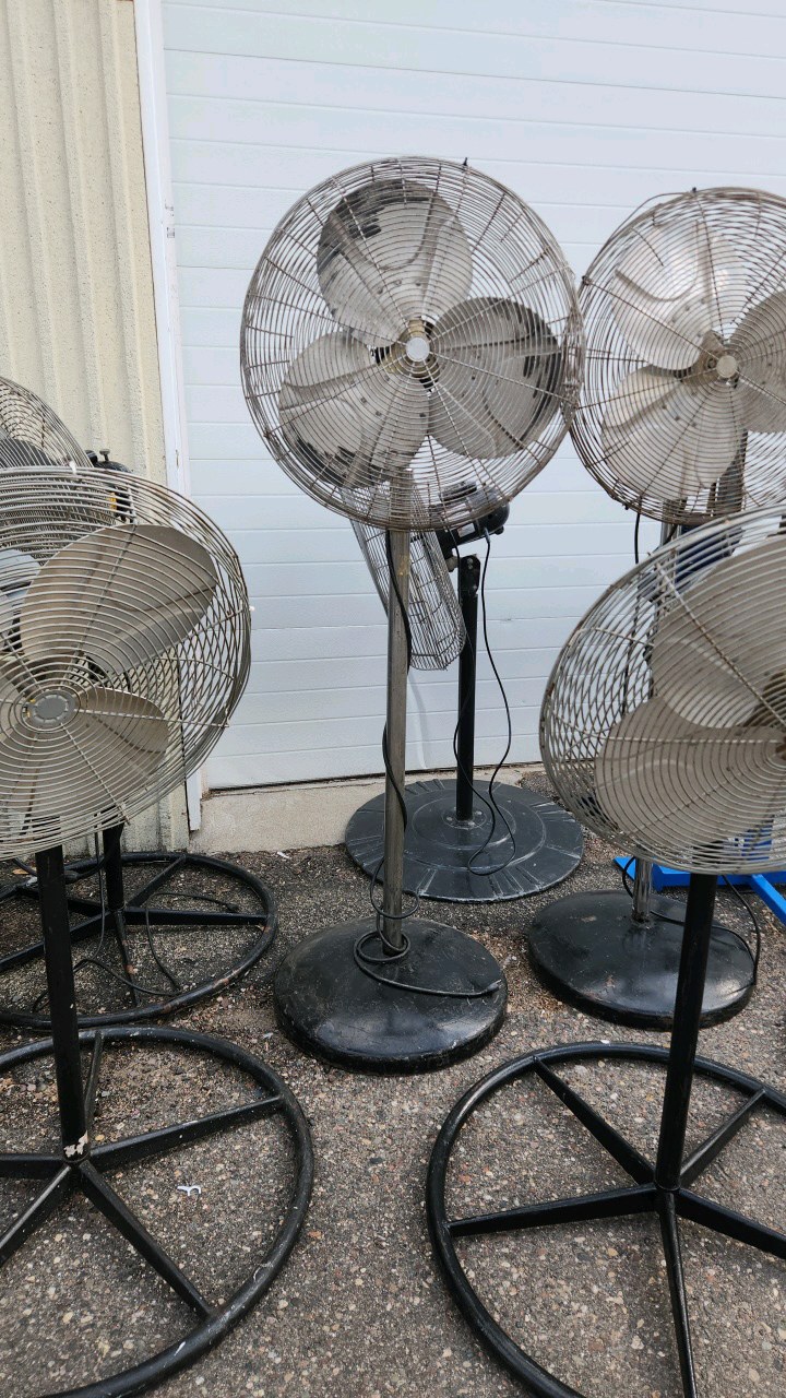 Pedestal Fan