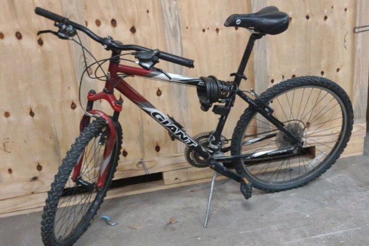 giant bicycle