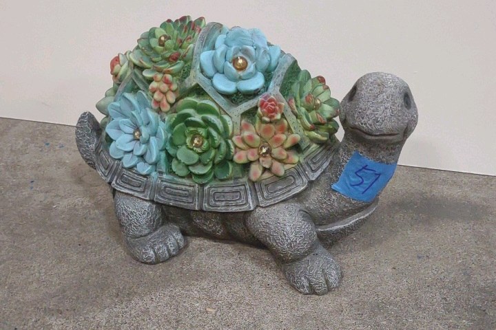 light up turtle