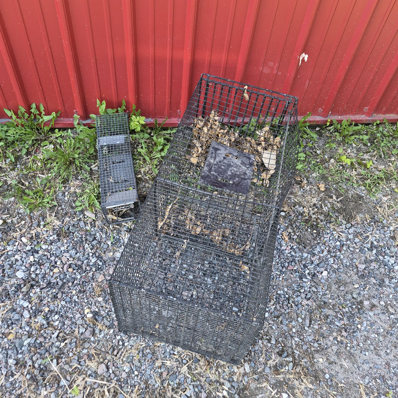 Lot of 2 Wire Live Traps