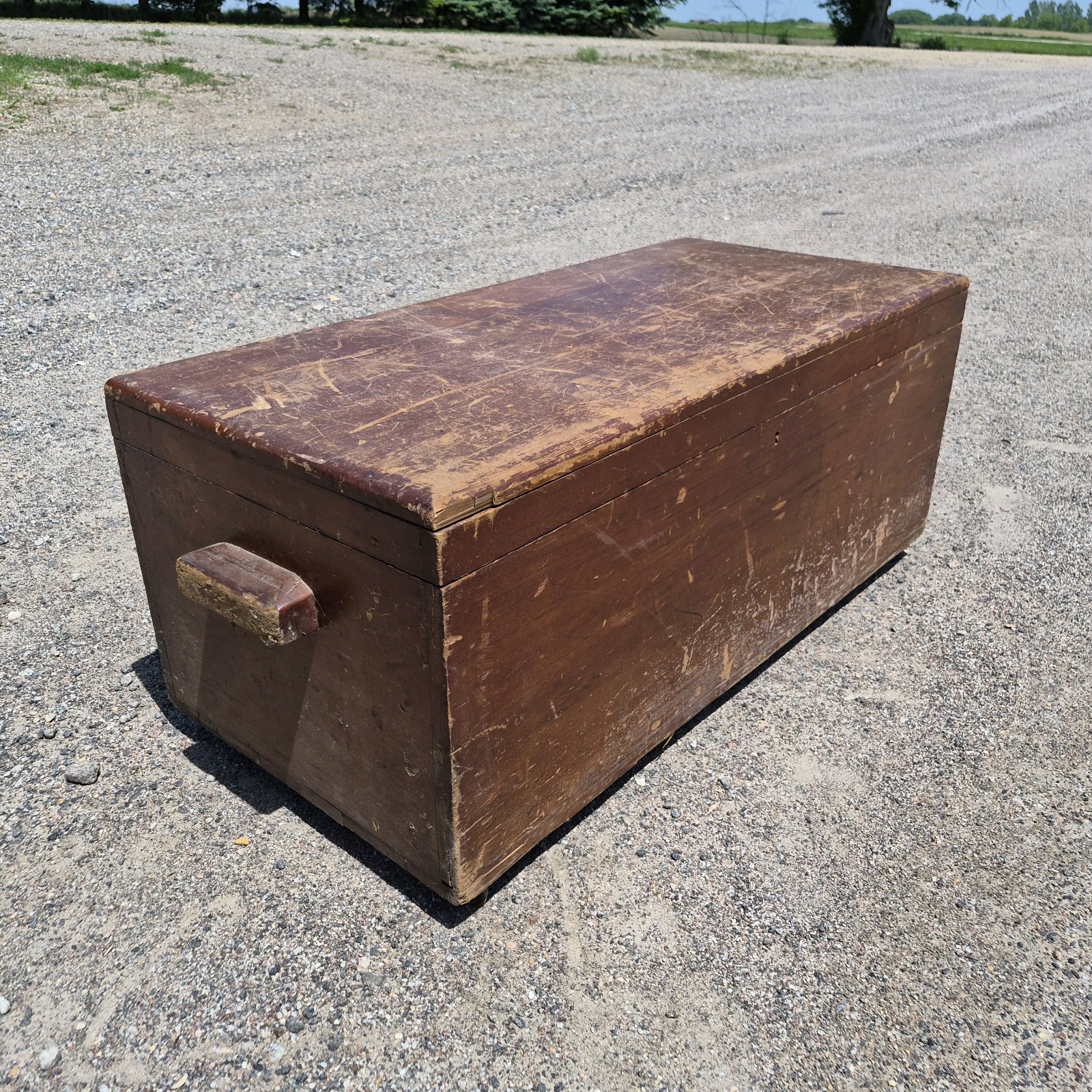 Wood Storage Chest Trunk with Hinged Lid