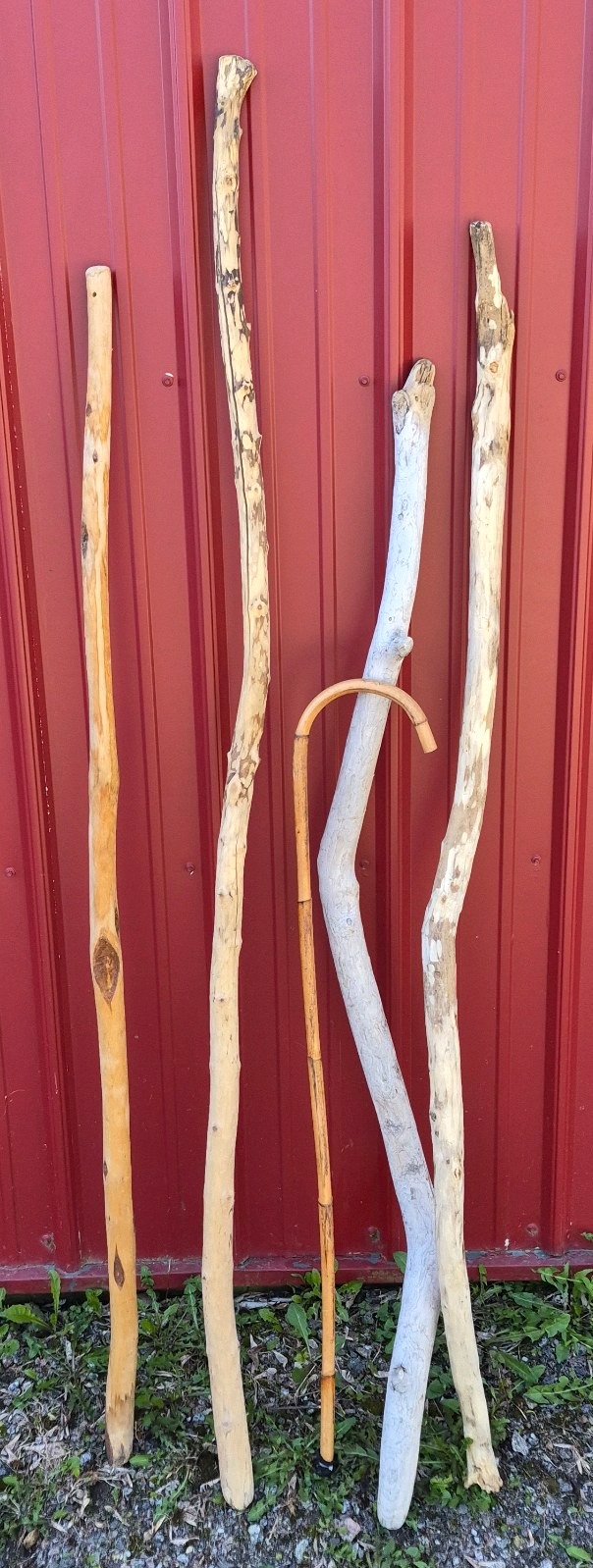 Lot of 5 Natural Wood Walking Sticks and Canes