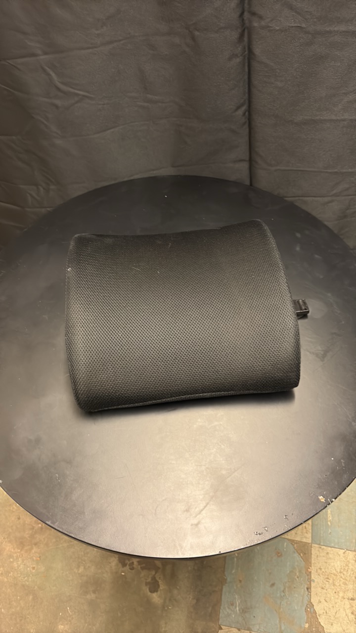 Back and Lumbar Support for Desk