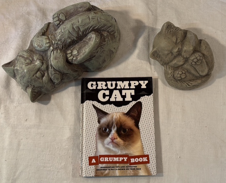 Cat Nap Statues and Grumpy Cat Book