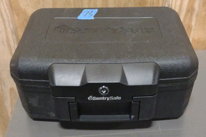 sentry safe