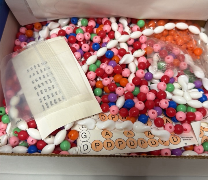 RNA model Kit