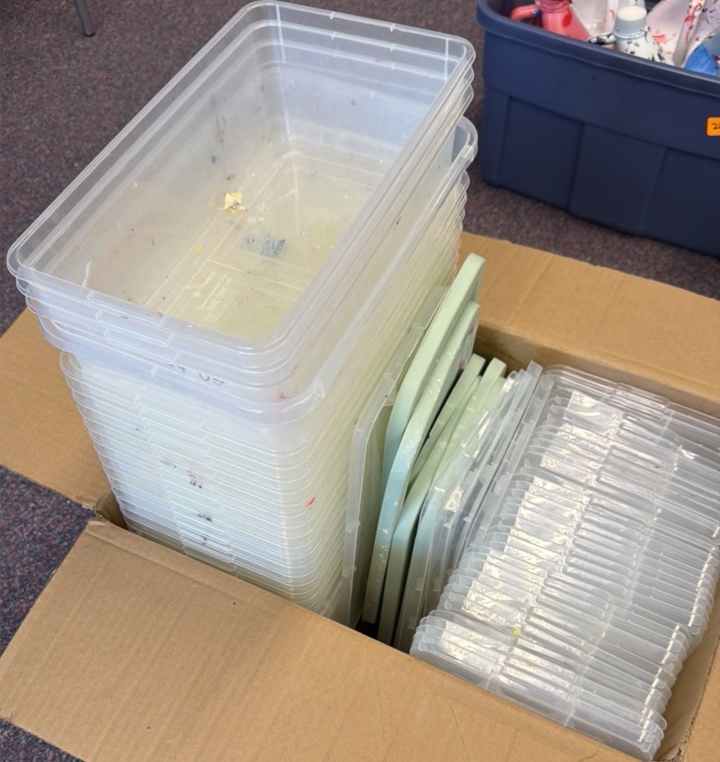 box of small totes with lids