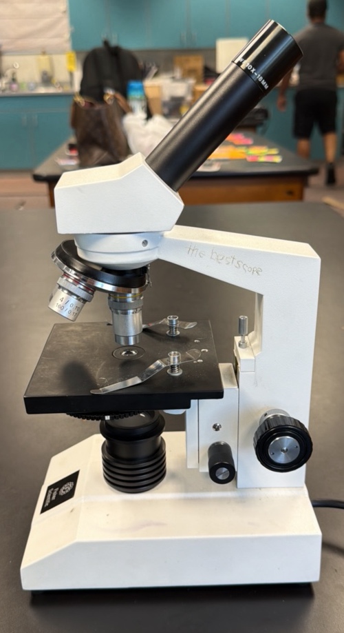 microscope by Fisher Scientific WF 10 X  18 MM