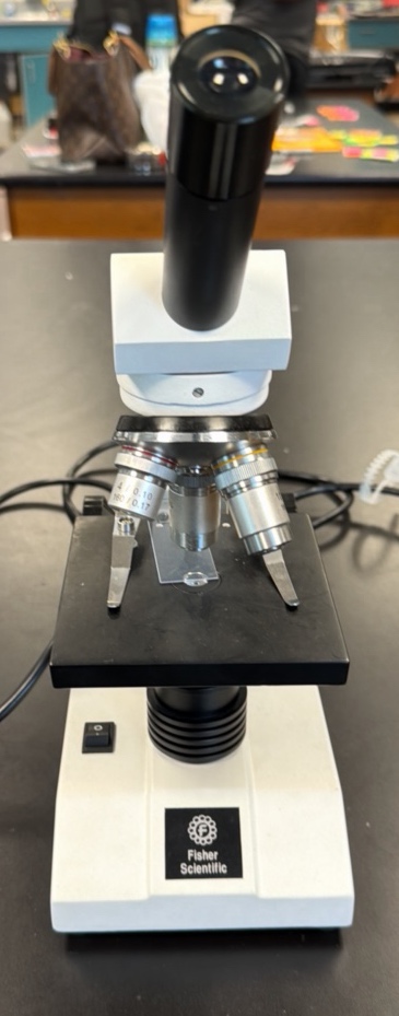 microscope by Fisher Scientific WF 10 X 18 MM
