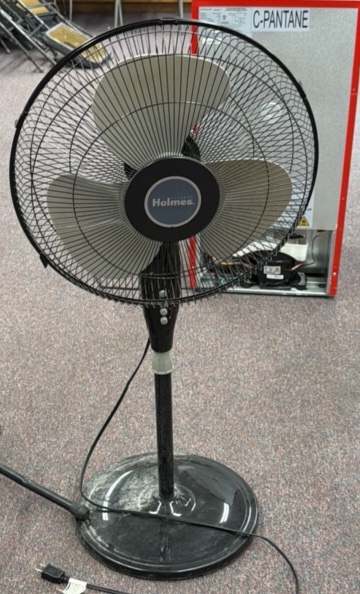 fan