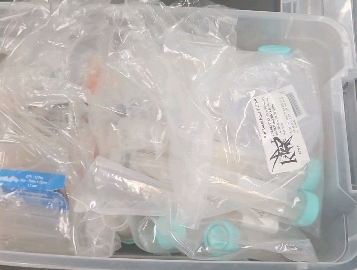 assortment of test tubes