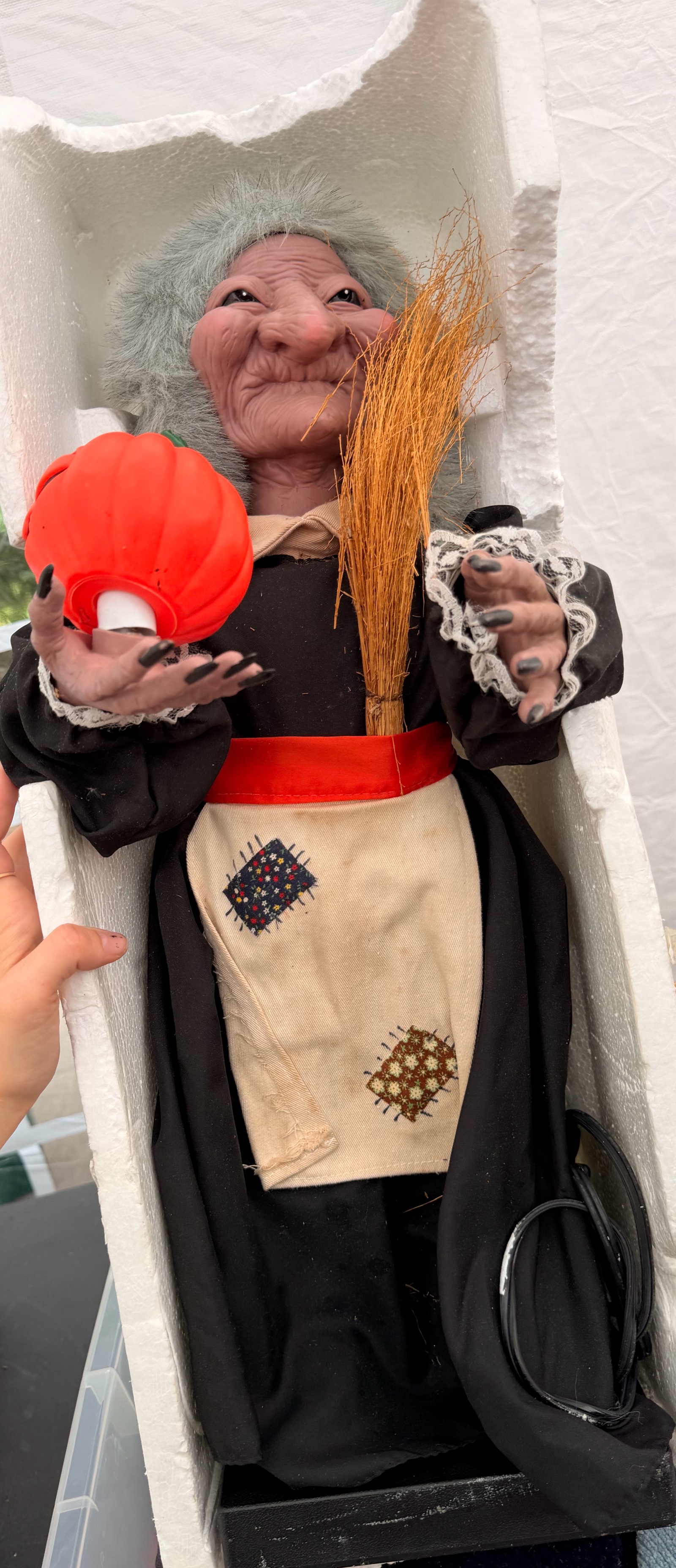 Halloween Witch Plug in decor