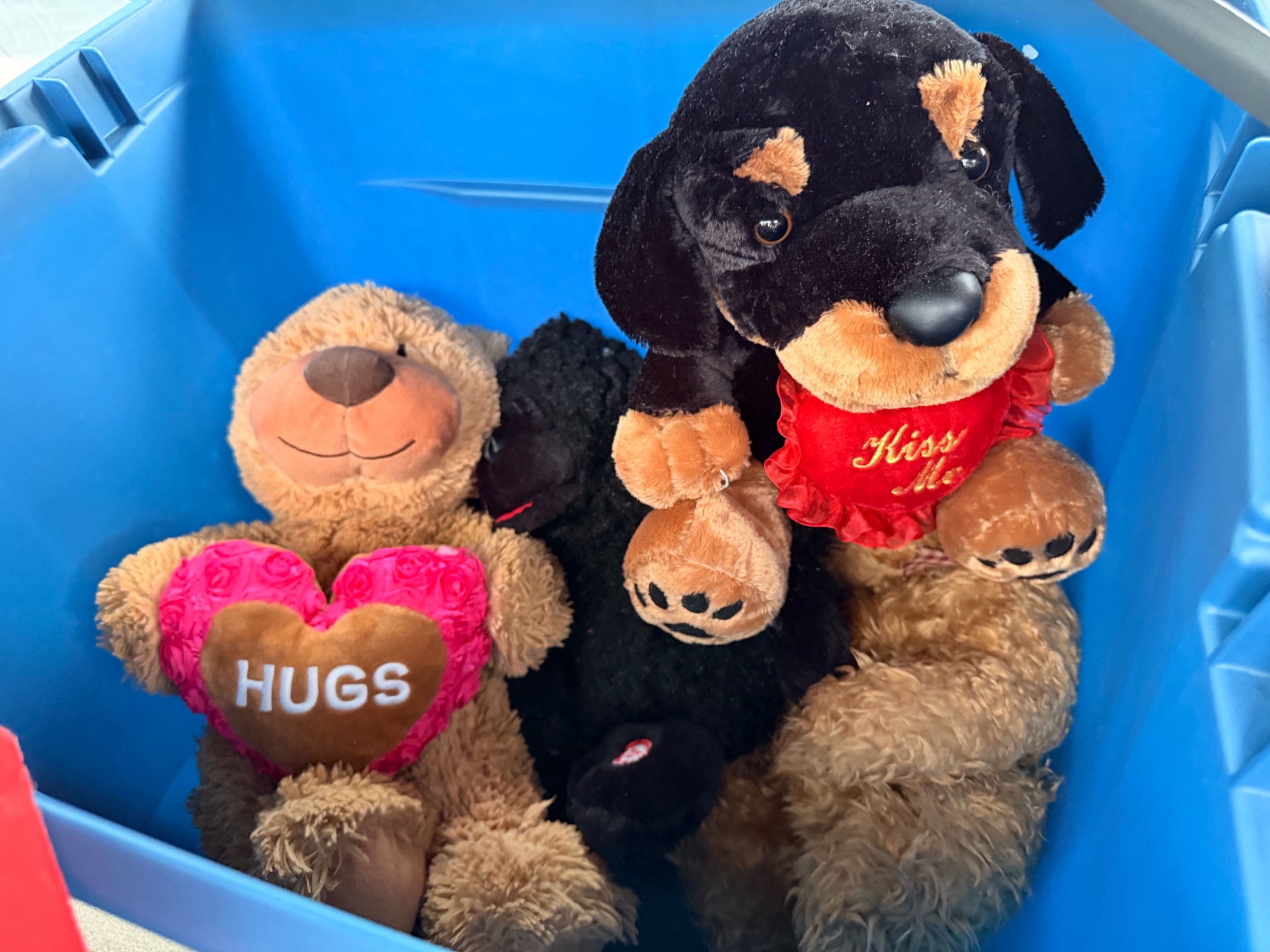 Lot of Stuffed Animals, Dog, Teddy, Gorilla (Some Valentines) & Bin