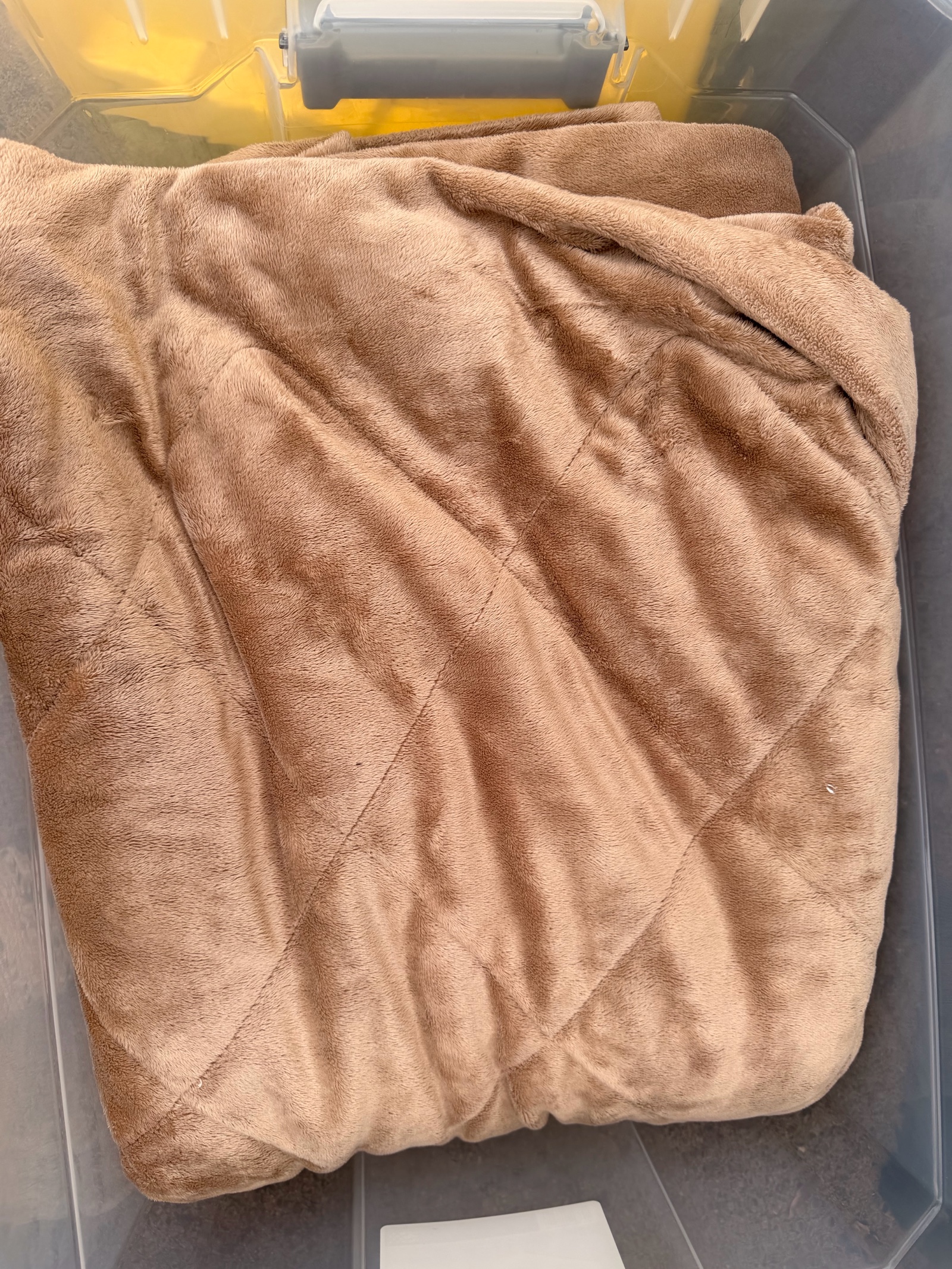 Brown Comforter and Sheet or sham