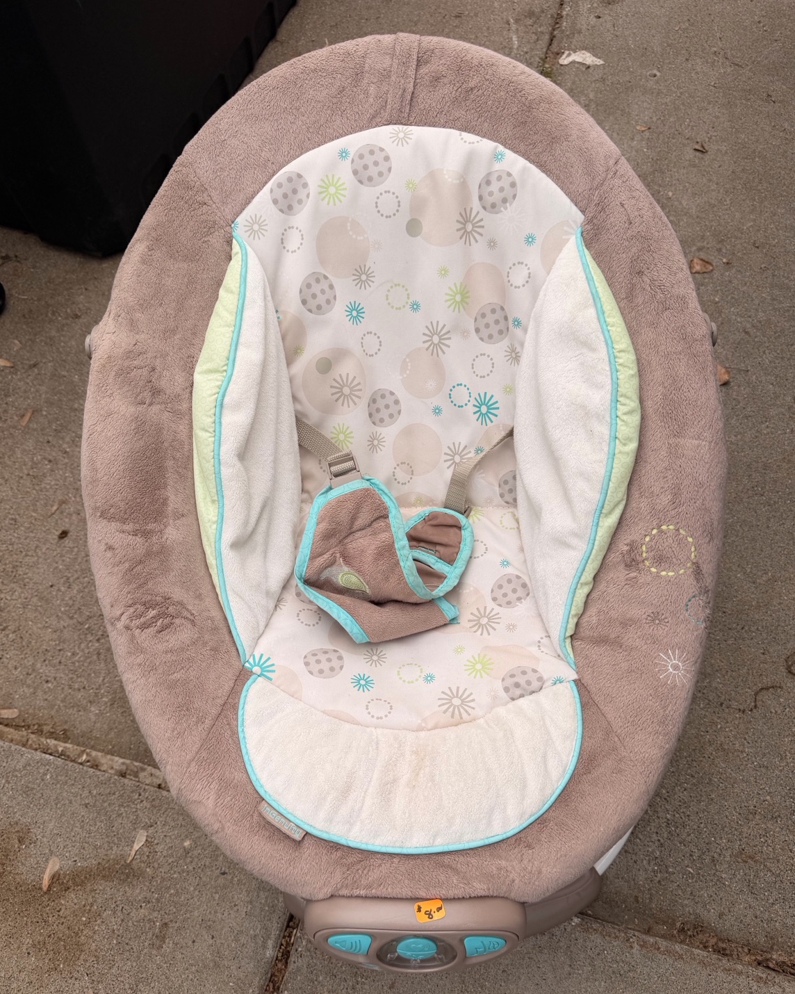 Baby Bouncer
